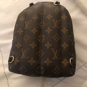 Louis Vuitton Palm Spring Mini Back Pack